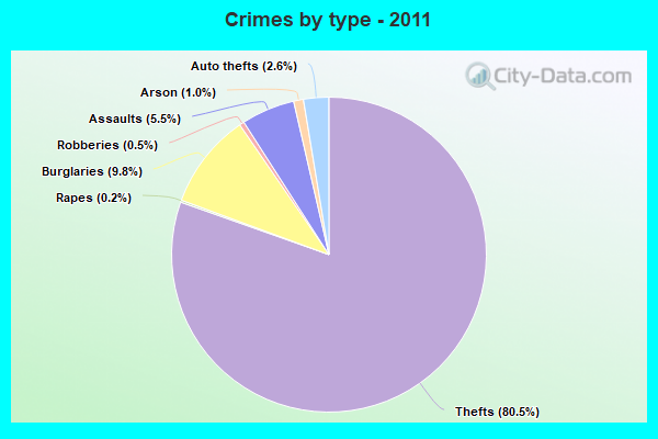 Crimes by type - 2011