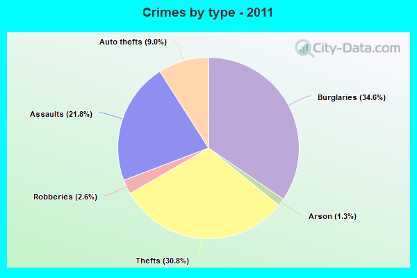 Crimes by type - 2011