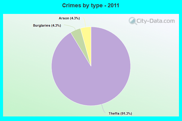 Crimes by type - 2011