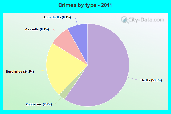 Crimes by type - 2011