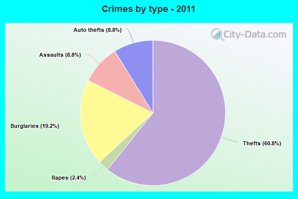 Crimes by type - 2011