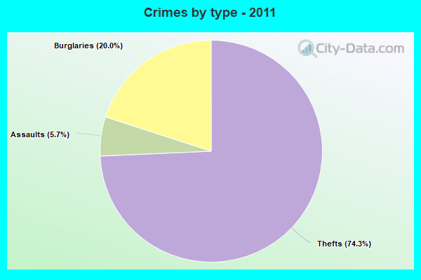 Crimes by type - 2011