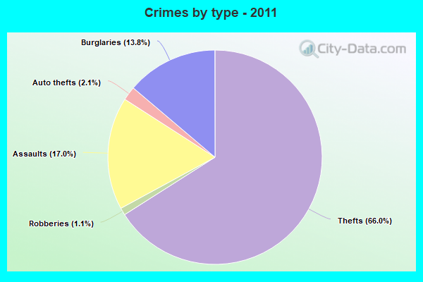 Crimes by type - 2011