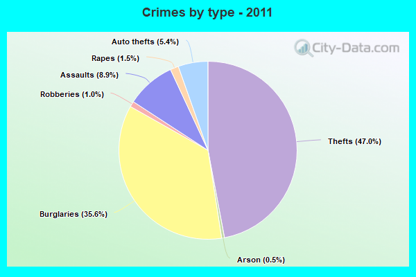 Crimes by type - 2011