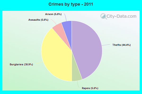 Crimes by type - 2011