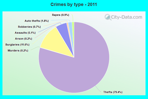 Crimes by type - 2011