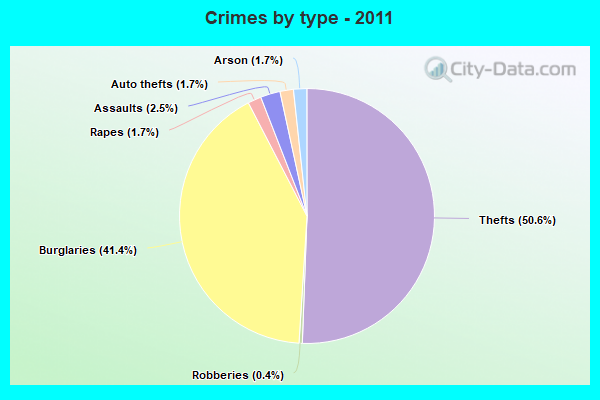 Crimes by type - 2011