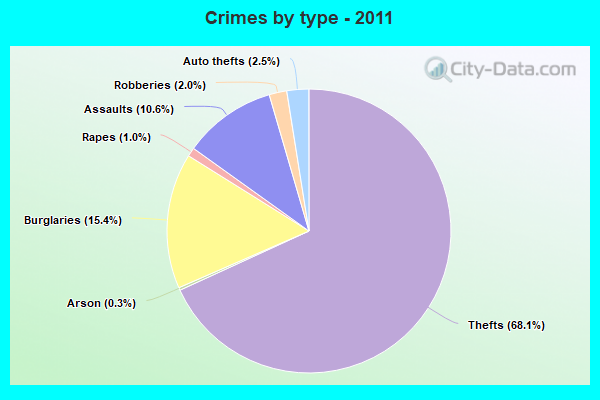 Crimes by type - 2011