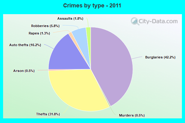 Crimes by type - 2011