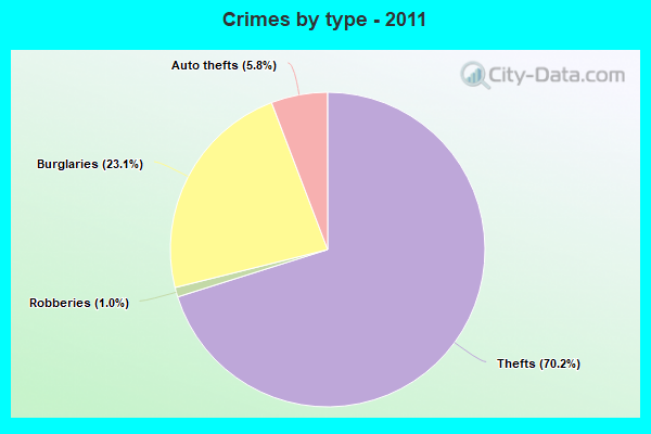 Crimes by type - 2011