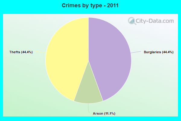 Crimes by type - 2011