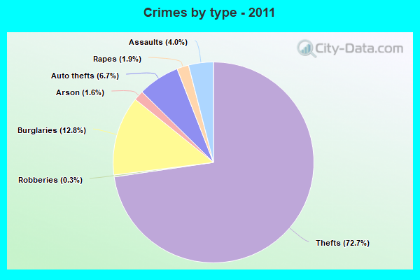 Crimes by type - 2011