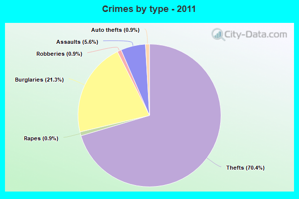 Crimes by type - 2011