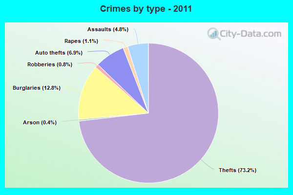 Crimes by type - 2011