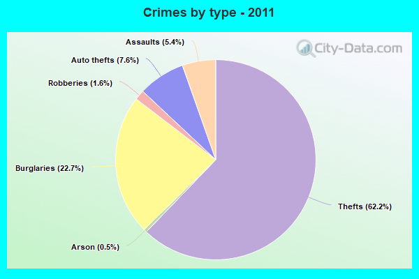 Crimes by type - 2011