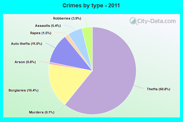 Crimes by type - 2011