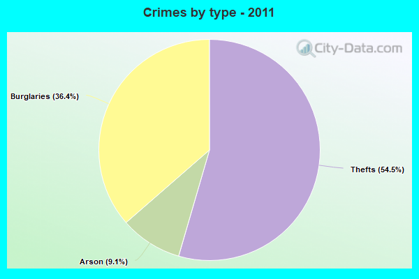 Crimes by type - 2011