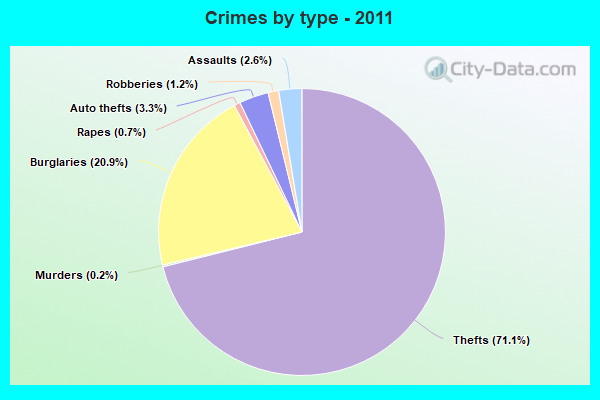 Crimes by type - 2011