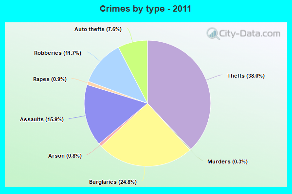 Crimes by type - 2011