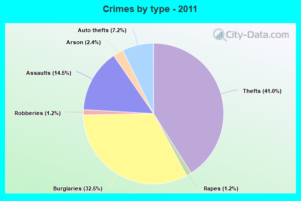 Crimes by type - 2011