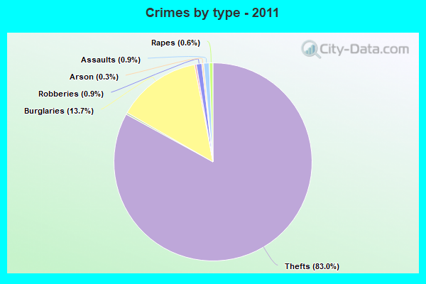 Crimes by type - 2011