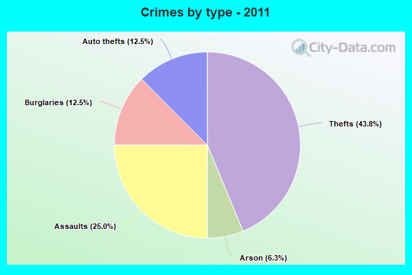 Crimes by type - 2011