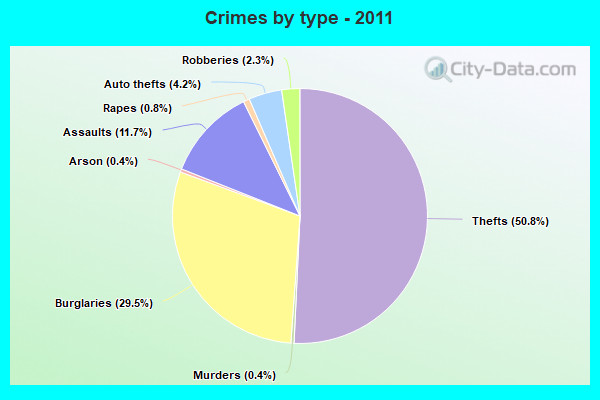 Crimes by type - 2011