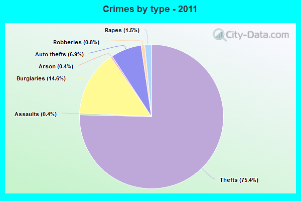 Crimes by type - 2011