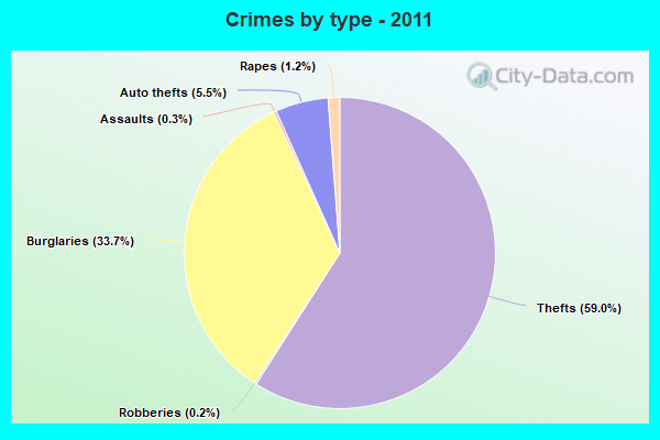 Crimes by type - 2011