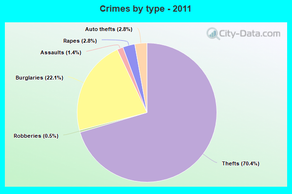 Crimes by type - 2011