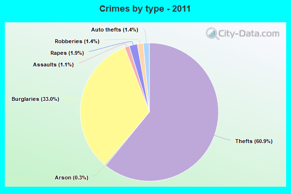 Crimes by type - 2011