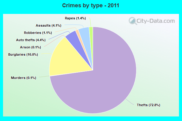 Crimes by type - 2011