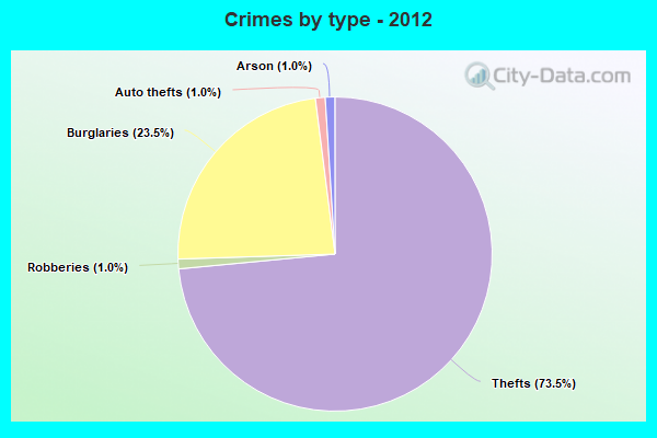 Crimes by type - 2012