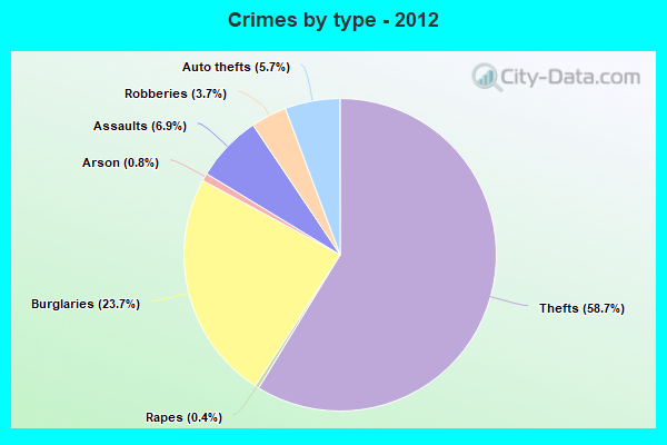 Crimes by type - 2012