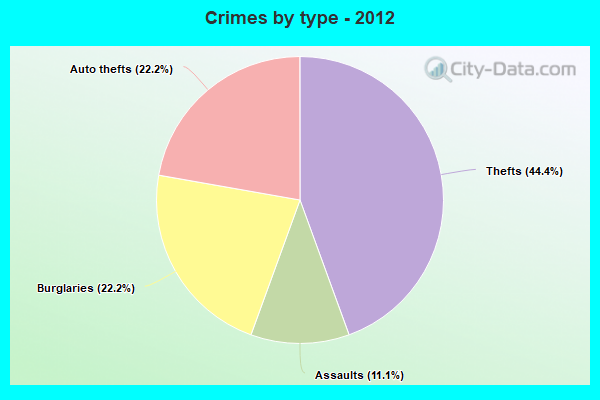 Crimes by type - 2012