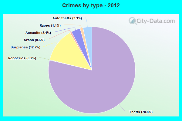 Crimes by type - 2012