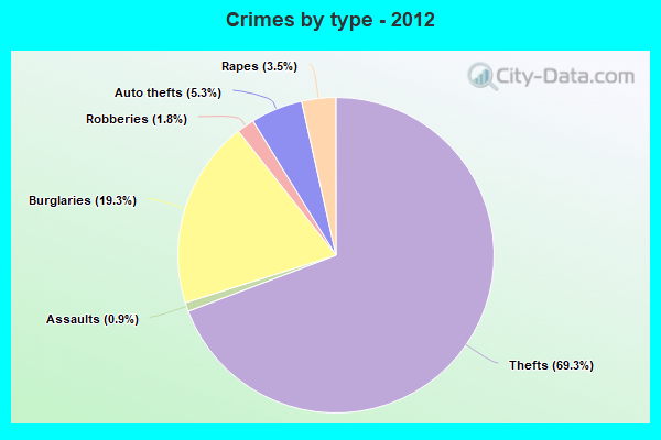 Crimes by type - 2012