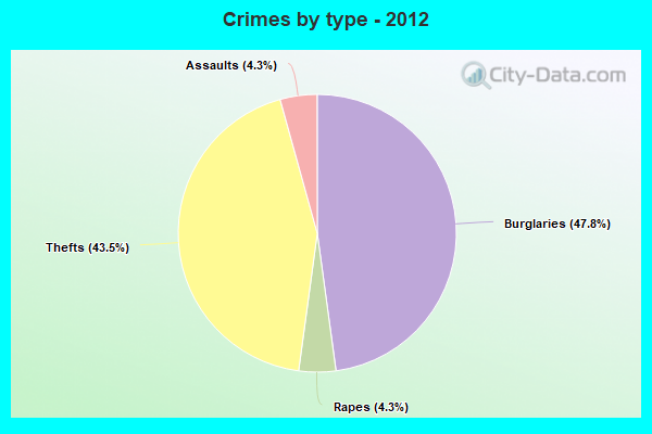 Crimes by type - 2012