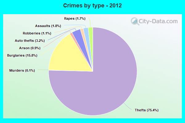 Crimes by type - 2012