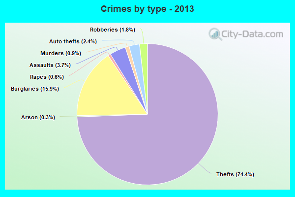 Crimes by type - 2013