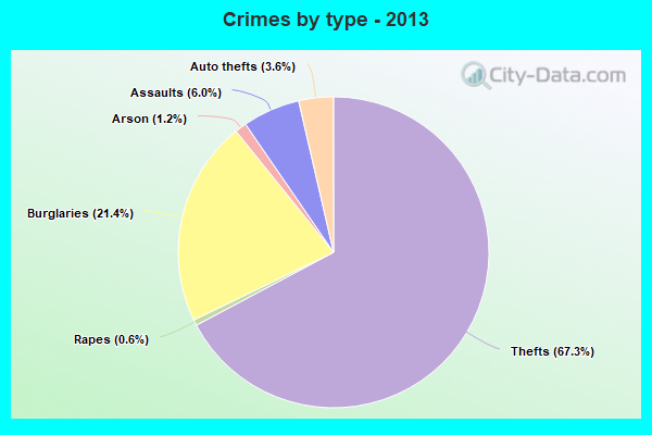 Crimes by type - 2013