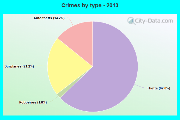 Crimes by type - 2013