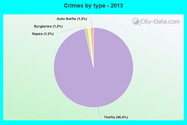 Crimes by type - 2013