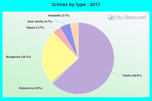 Crimes by type - 2013