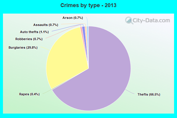 Crimes by type - 2013