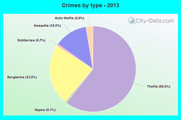 Crimes by type - 2013