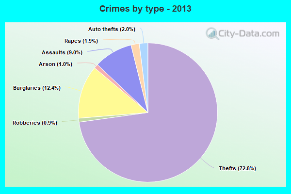 Crimes by type - 2013