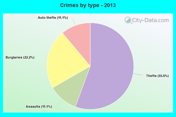 Crimes by type - 2013