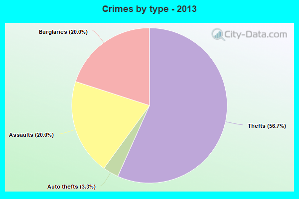 Crimes by type - 2013