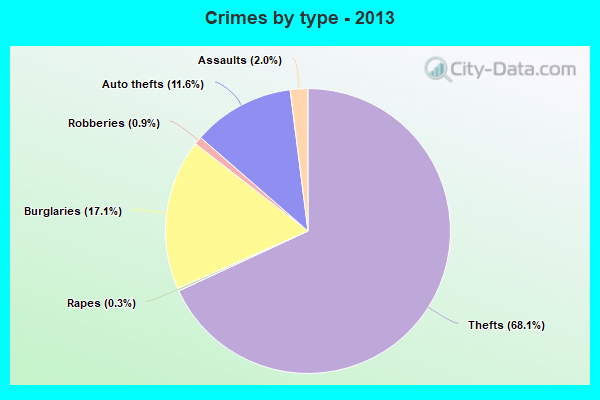 Crimes by type - 2013